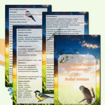Папка передвижка 