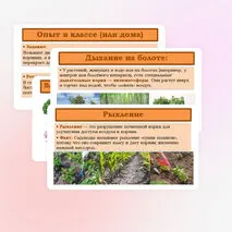 Презентация «Дыхание корня» 6 класс