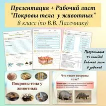 Комплект к уроку биологии 