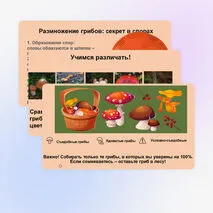 Презентация 