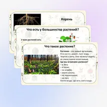 Презентация «Что мы знаем о растениях? Что общего у разных растений?» по окружающему миру, 1 класс