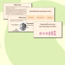 Презентация 