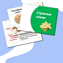 Презентация 
