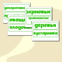 Дидактическая игра 