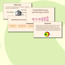Презентация 