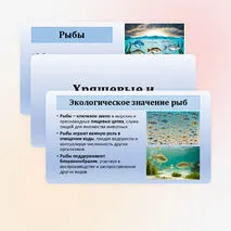 Презентация по биологии «Хрящевые и костные рыбы» 8 класс