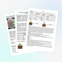 Лабораторная работа «Изучение строения корневых систем и микропрепарата клеток корня»