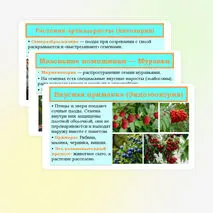 Презентация «Распространение плодов и семян в природе» 6 класс