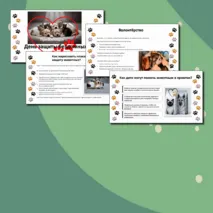 Презентация «Международный день защиты бездомных животных — 16 августа»