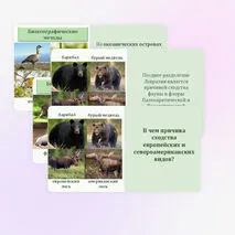 Презентация по биологии 