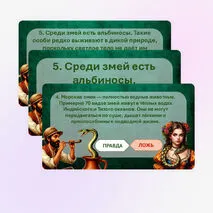 Игра 