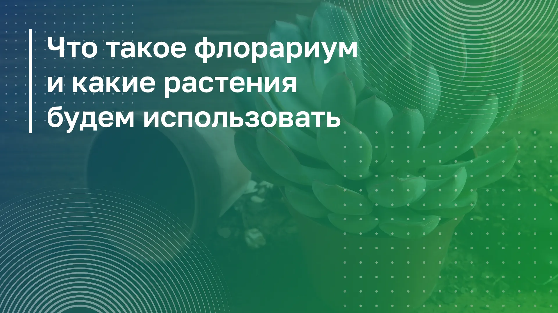 Обложка курса
