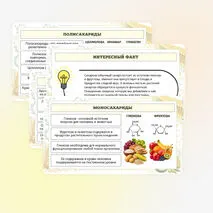 Презентация по биологии «Углеводы. Липиды