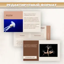 Презентация «Тип кишечнополостные» к учебнику по биологии для 7 класса- Пасечник В.В., Суматохин С.В. и др.