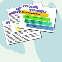 Презентация «Ферменты-биологические катализаторы». Биология 10 класс.