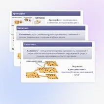 Комплект (презентация + рабочий лист) 