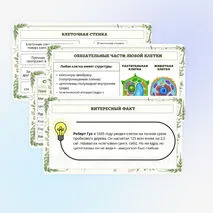 Презентация по биологии «Растительная клетка, её изучение»