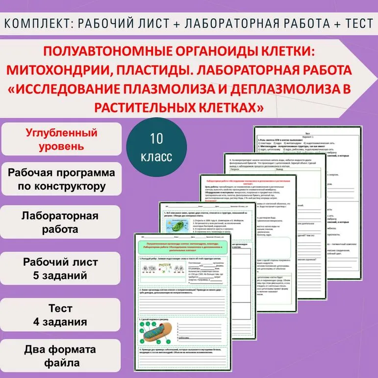 Комплект (рабочий лист + лабораторная работа + тест): Полуавтономные органоиды клетки: митохондрии, пластиды. Лабораторная работа «Исследование плазмолиза и деплазмолиза в растительных клетках» Биология 10 класс (углубленный уровень).