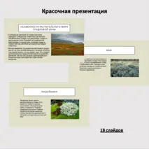 Природная зона Тундра, комплект к уроку (Презентация+рабочий лист). Окружающий мир (4 класс), Внеурочная деятельность 