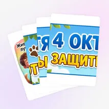 Оформление 