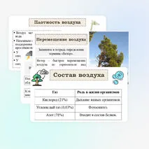 Презентация 