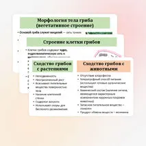 Презентация по биологии «Общая характеристика грибов» 7 класс