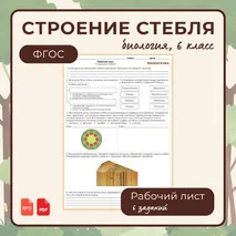 «Строение стебля», 6 класс