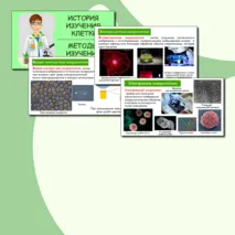 Презентация по биологии 