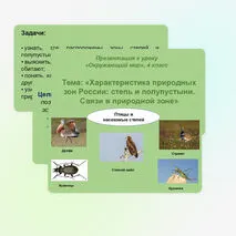 Характеристика природных зон: степи и полупустыни. Связь природных зон.