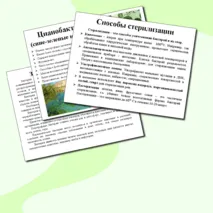 Презентация 