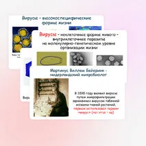 Презентация по биологии 