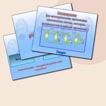 Комплект материалов «Формы размножения организмов». Биология 10 класс (презентация + конспект) углубленный уровень