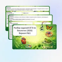 Презентация «Разбор заданий ОГЭ по биологии. Вариант 1» (задания 1–26)