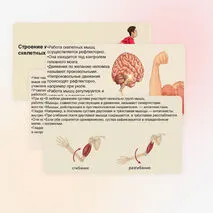 Презентация 