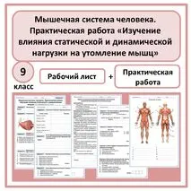 Комплект по биологии (рабочий лист + практическая работа) 