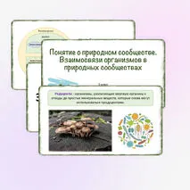 Презентация «Понятие о природном сообществе. Взаимосвязи организмов в природных сообществах», 5 класс