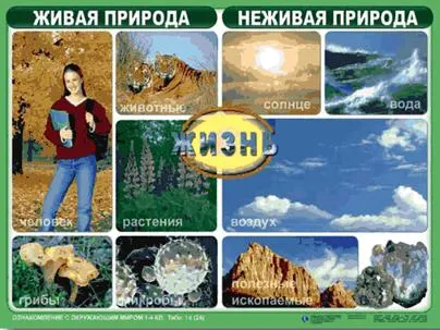 https://docs.google.com/viewer?url=http%3A%2F%2Fnsportal.ru%2Fsites%2Fdefault%2Ffiles%2F2014%2F05%2F18%2Ftablitsy_po_okr._miru.ppt&docid=705950a2970a114588092457583edfff&a=bi&pagenumber=26&w=524