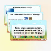 Презентация «Связи в природе: зависимость изменений в живой природе от изменений в неживой природе. Неживая и живая природа. Явления природы» по окружающему миру, 2 класс