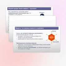 Презентация «Эволюция эукариот» 11 класс (углубленный уровень)