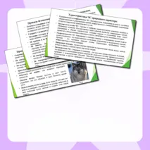 Презентация по ОБЗР 9 класс Тема № 1 «Правила безопасного поведения в природной среде»