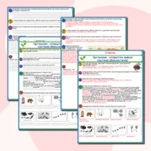 Рабочий лист Организм – открытая живая система (биосистема)