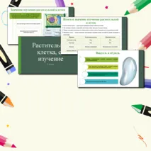 Презентация по теме: «Растительная клетка, её изучение». 6 класс