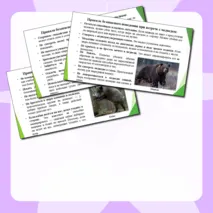 Презентация по ОБЗР 9 класс Тема № 1 «Правила безопасного поведения в природной среде»