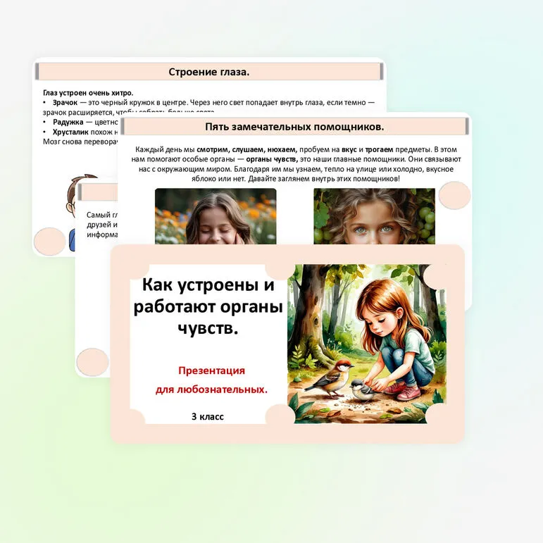 Презентация «Как устроены и работают органы чувств».