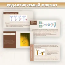 Презентация «Тип кишечнополостные» к учебнику по биологии для 7 класса- Пасечник В.В., Суматохин С.В. и др.