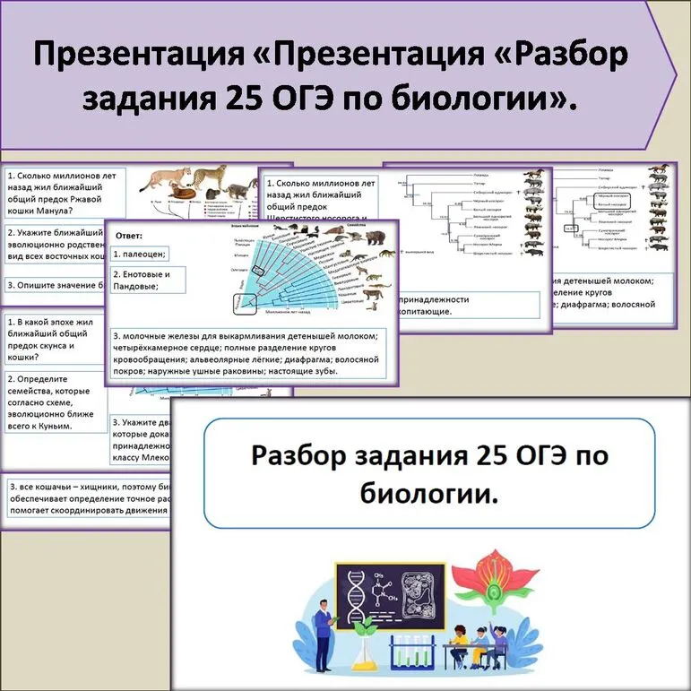 Презентация «Разбор задания 25 ОГЭ по биологии».