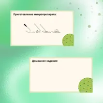 «Строение растительной клетки», 6 класс