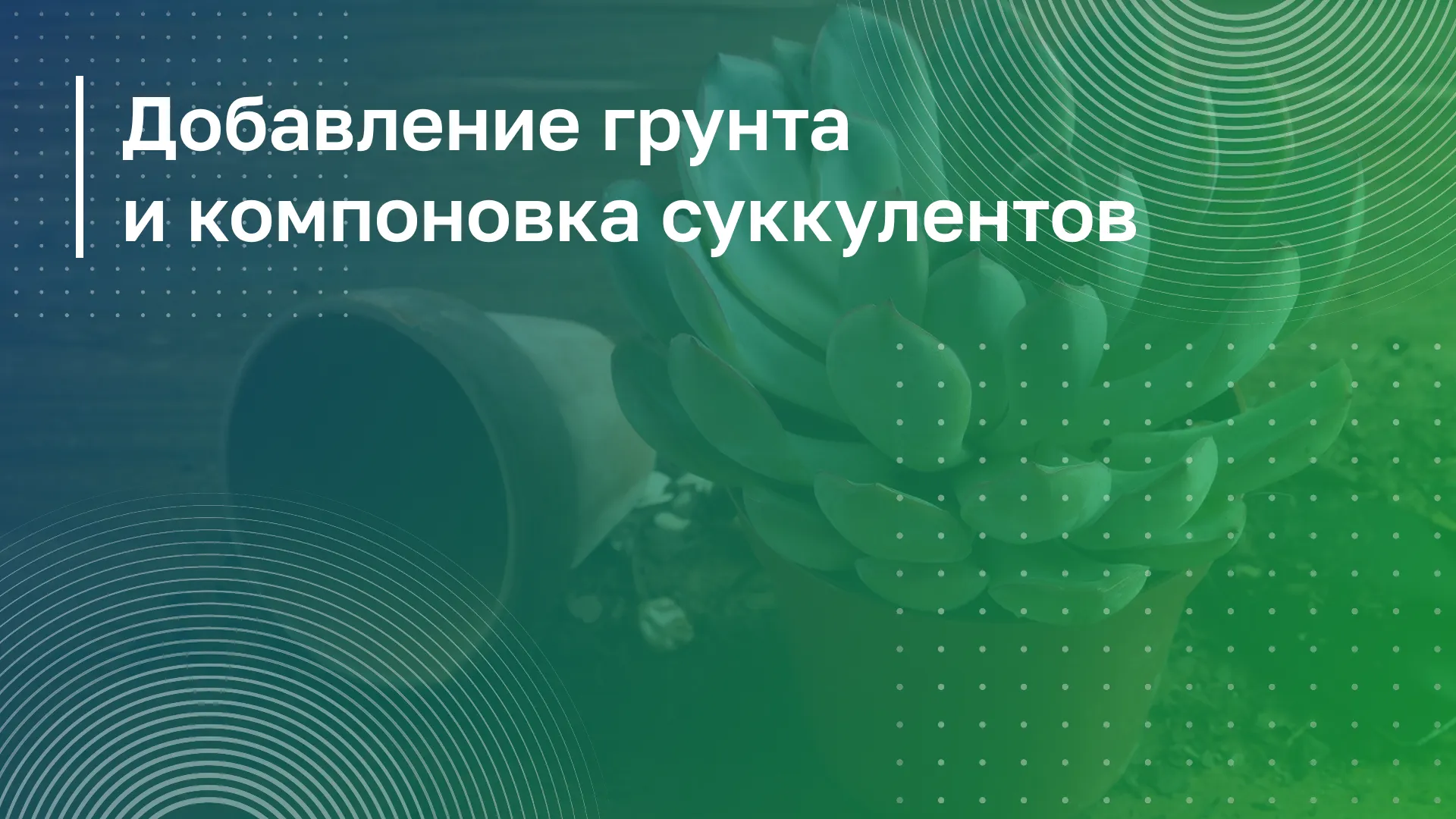 Обложка курса
