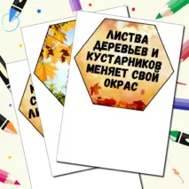 Гексы для оформления 