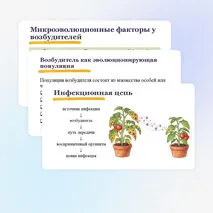 Презентация по биологии 